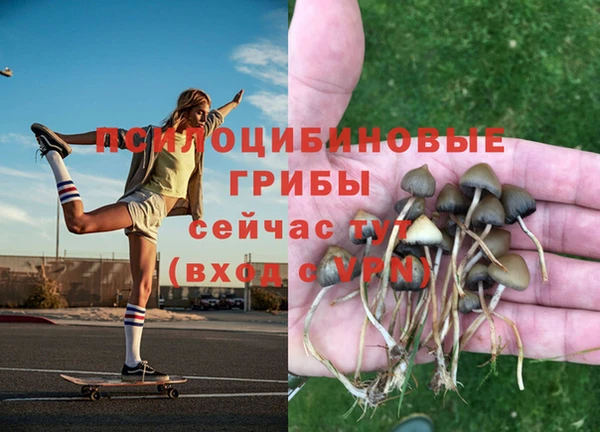 метадон Балахна