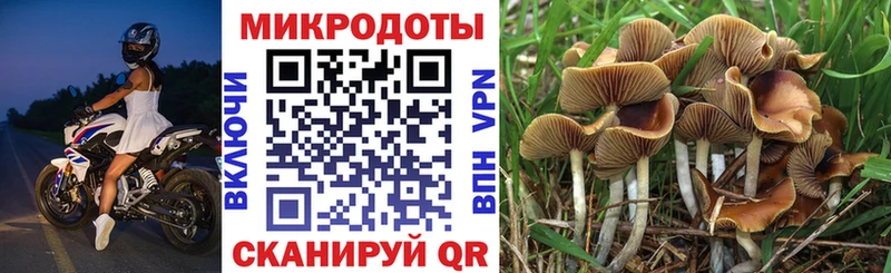 наркота  Ликино-Дулёво  Галлюциногенные грибы Psilocybe 